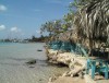 Rincon de Playa Tropical, Boca Chica