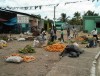 Mercado Campesino, Republica Dominicana