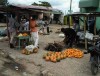 Mercado Campesino, Republica Dominicana